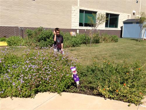 butterfly garden 10-13 